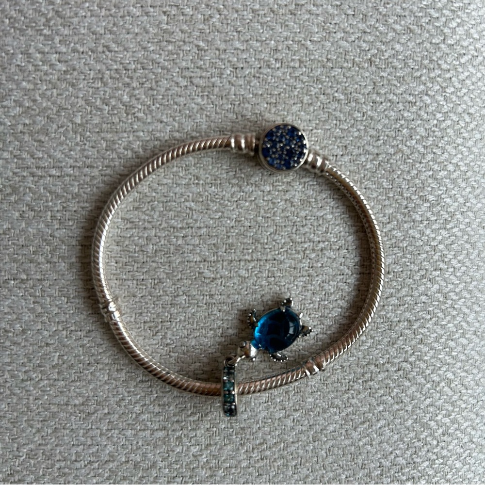 NWOT Pandora Silver Charm Bracelet 🩵